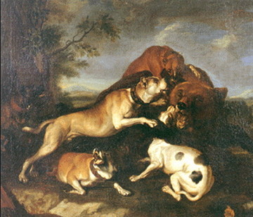 bear-baiting