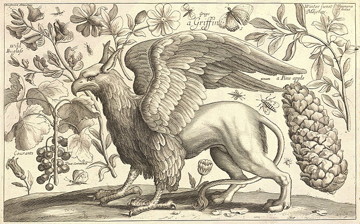 Griffin